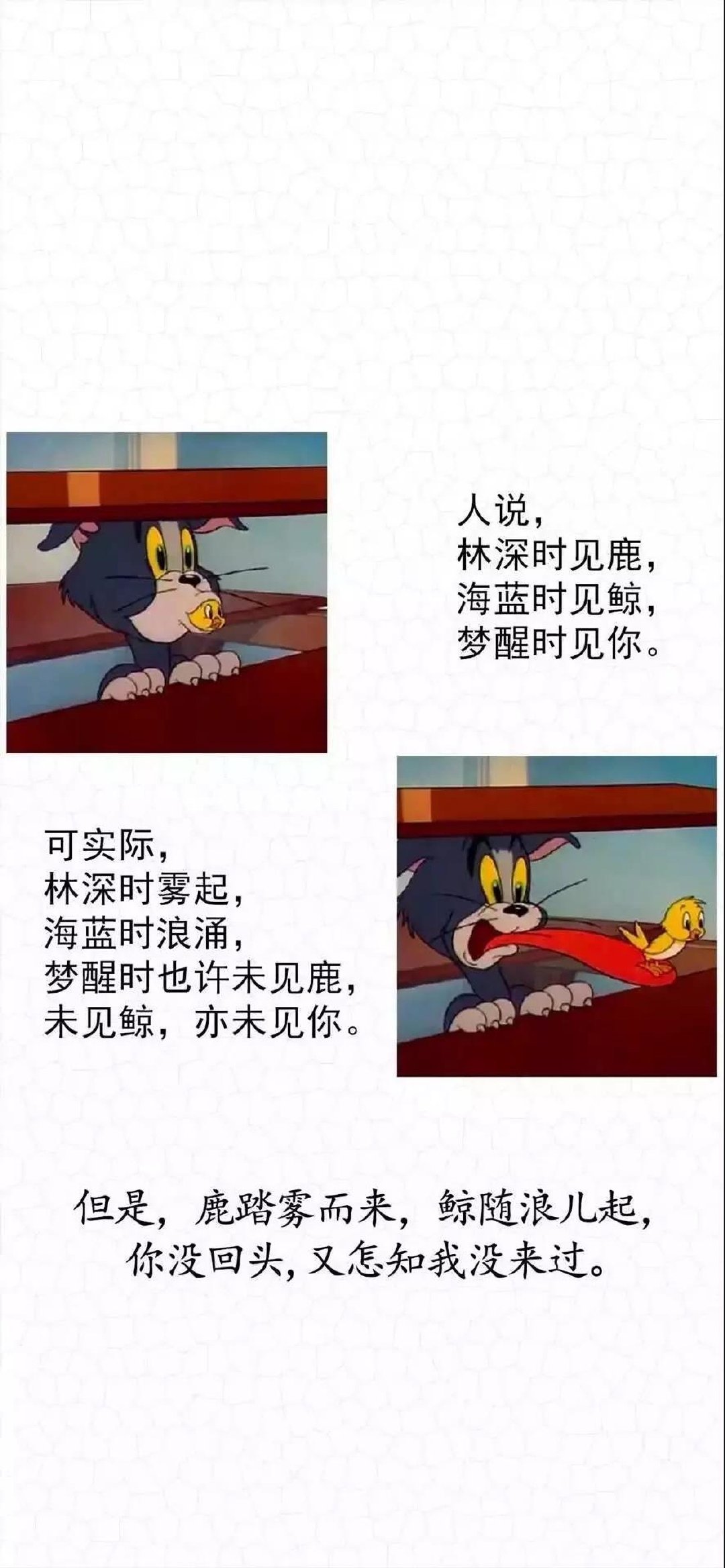 小孩子才会问你为什么不理我了 是不是不喜欢我了