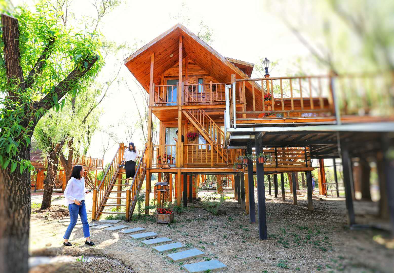 北京最近的童话树屋,隐匿在闹市中的世外桃源,大人孩子都喜欢!