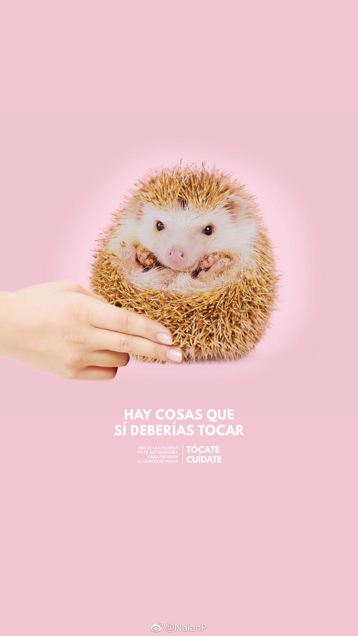 头孢克洛药品广告:治疗细菌感染,失去知觉可能会错过生命 67touch