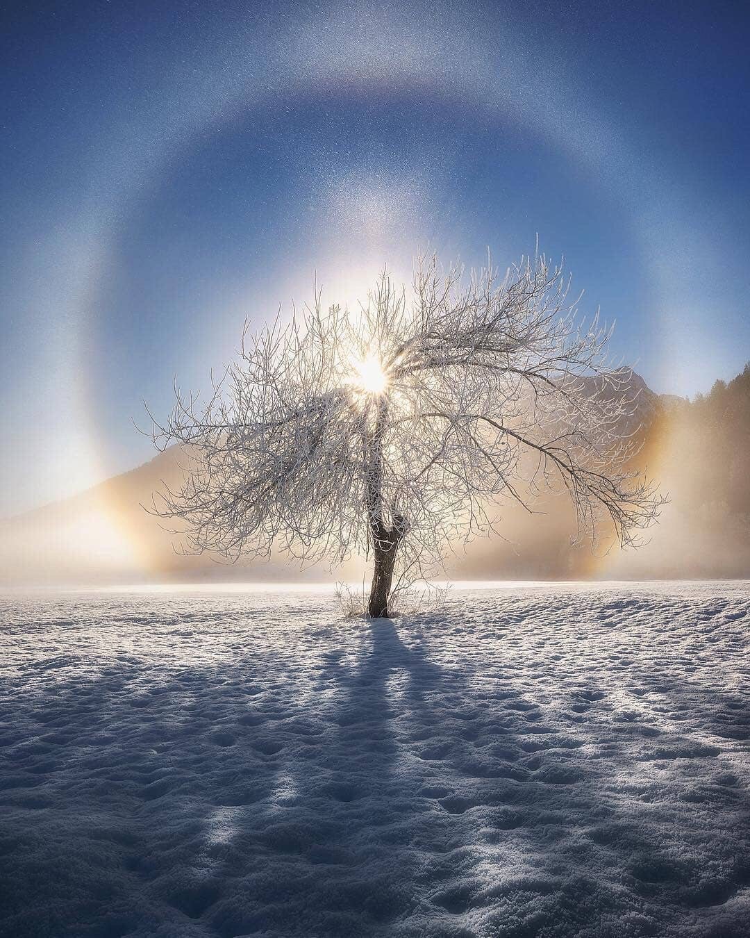 如果有来生,要做一棵树.站成永恒,没有悲欢的姿势