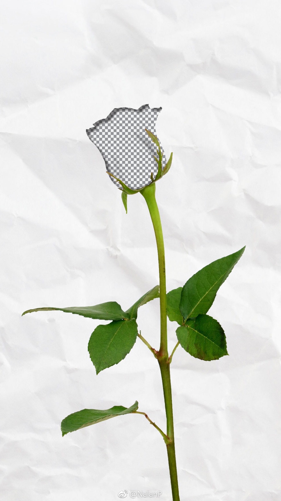 头孢克洛药品广告:治疗细菌感染,失去知觉可能会错过生命 67touch