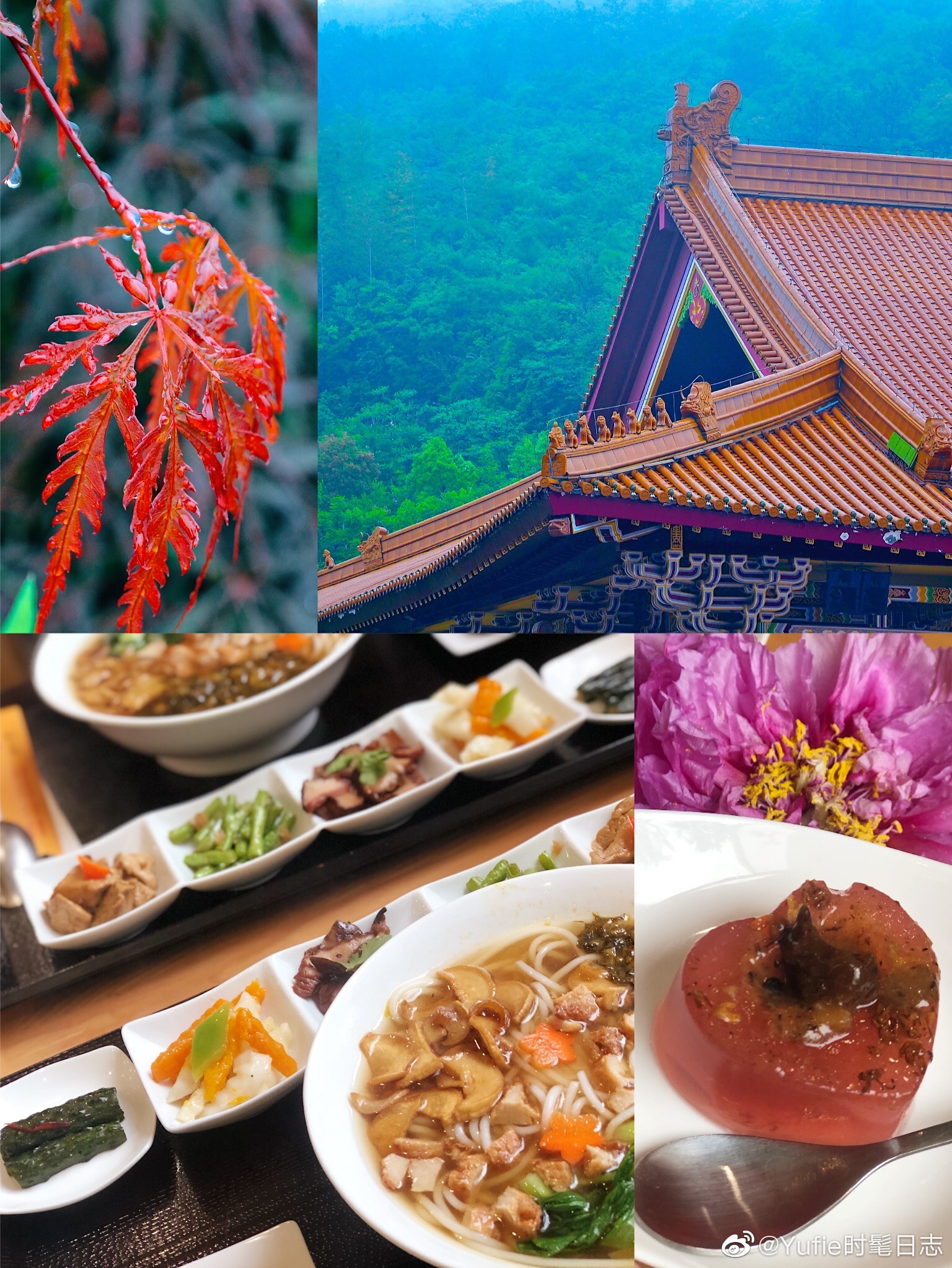 🎋趁着五一小长假到紫砂壶之乡宜兴游玩~入住宜兴富力艾美酒店|宜兴|紫砂壶|泡芙_新浪新闻