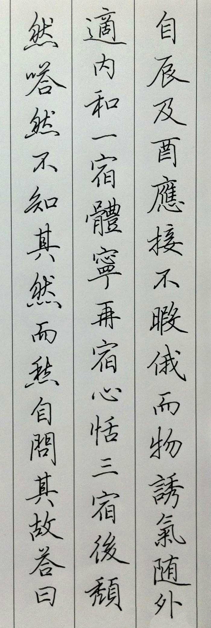 田英章 硬笔书法 行书草堂记 欣赏(局部)