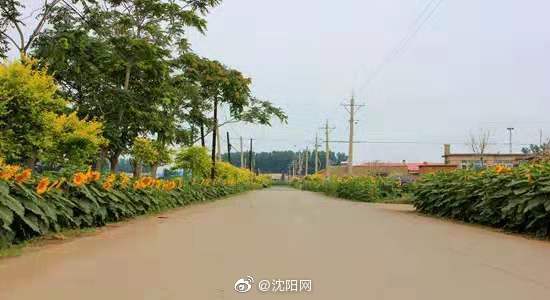 杨士岗镇在美丽宜居乡村建设中