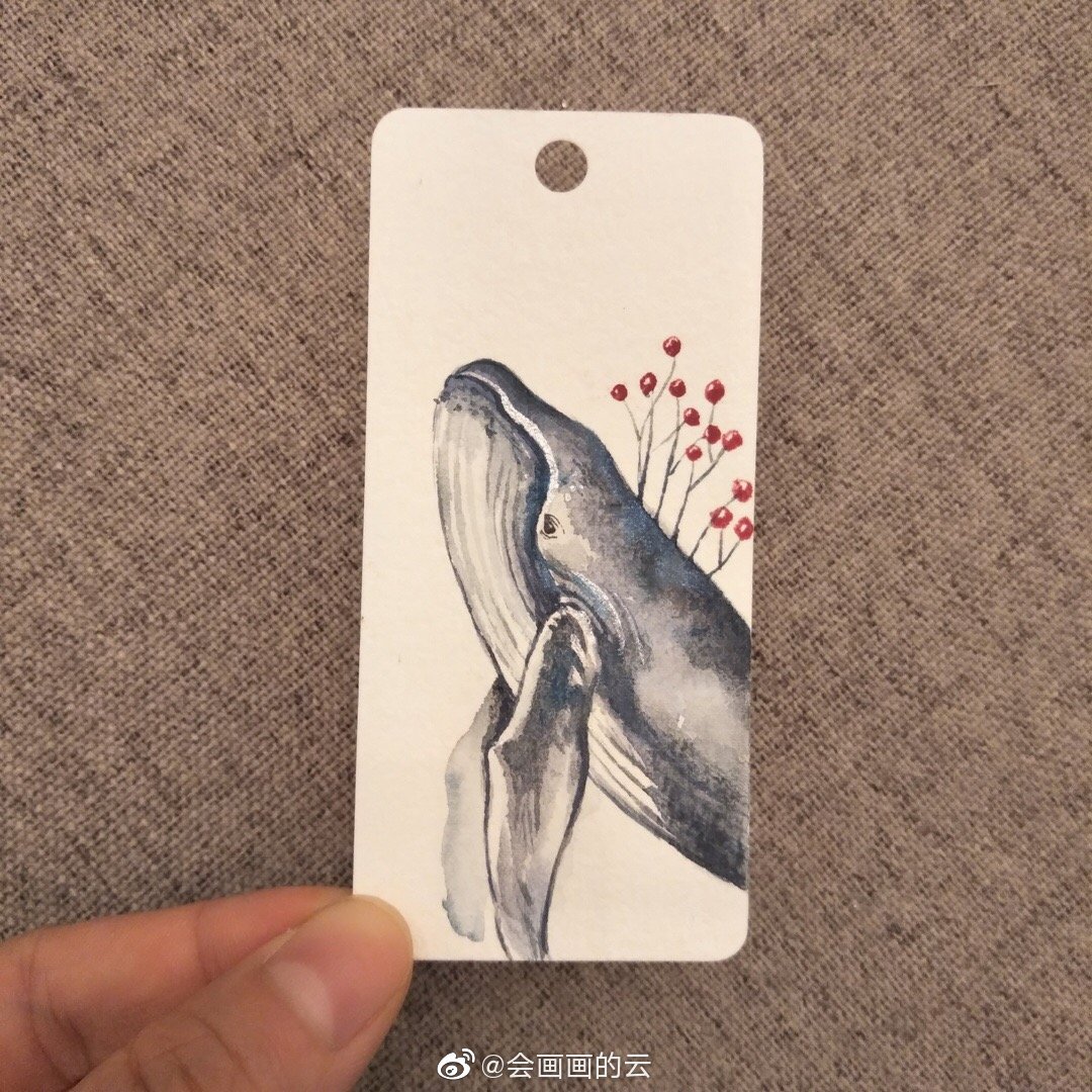 有机会一定要去看真的鲸鱼和海豚
