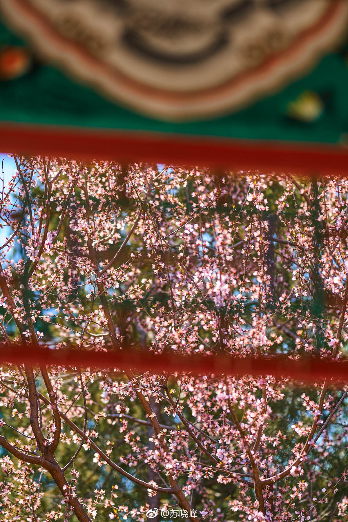 桃花深浅映楼阁