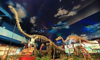 山东两个“恐龙之乡”的“恐龙之战”，到底哪个更名副其实?