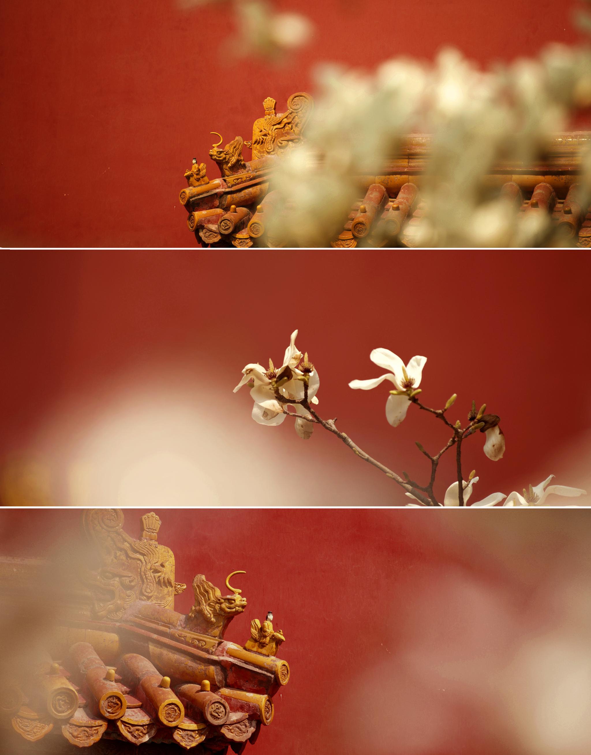 故宫红可以这么拍.by@白原的远方