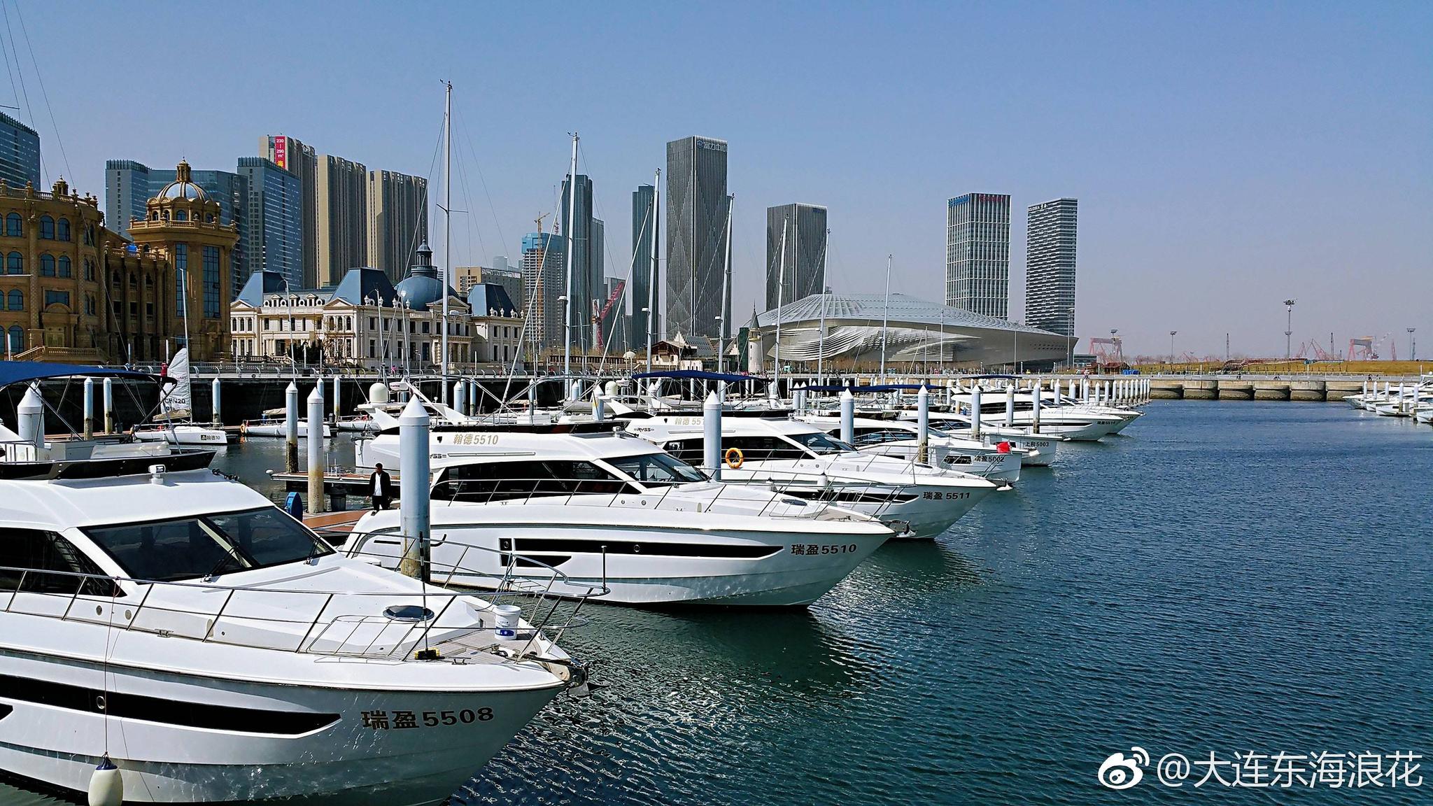 大连东港咋晚一场小雨净化了春天的空气虽然风大了点仍挡不住