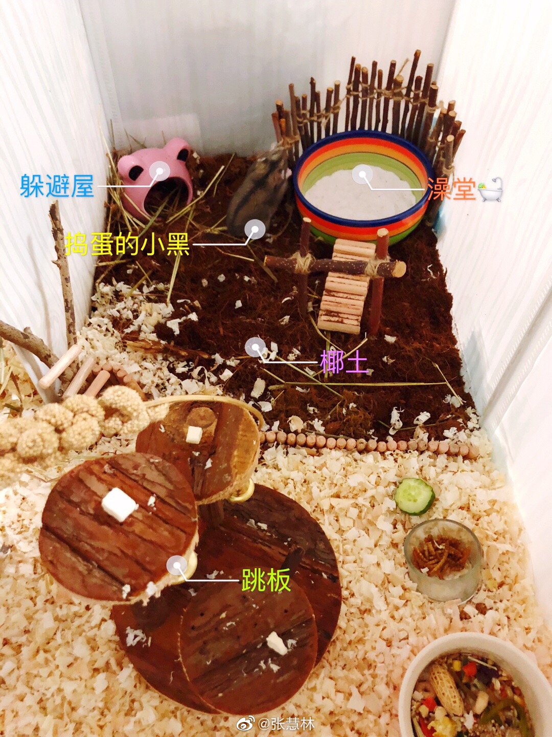 看看咱闺女纯手工打造的仓鼠窝