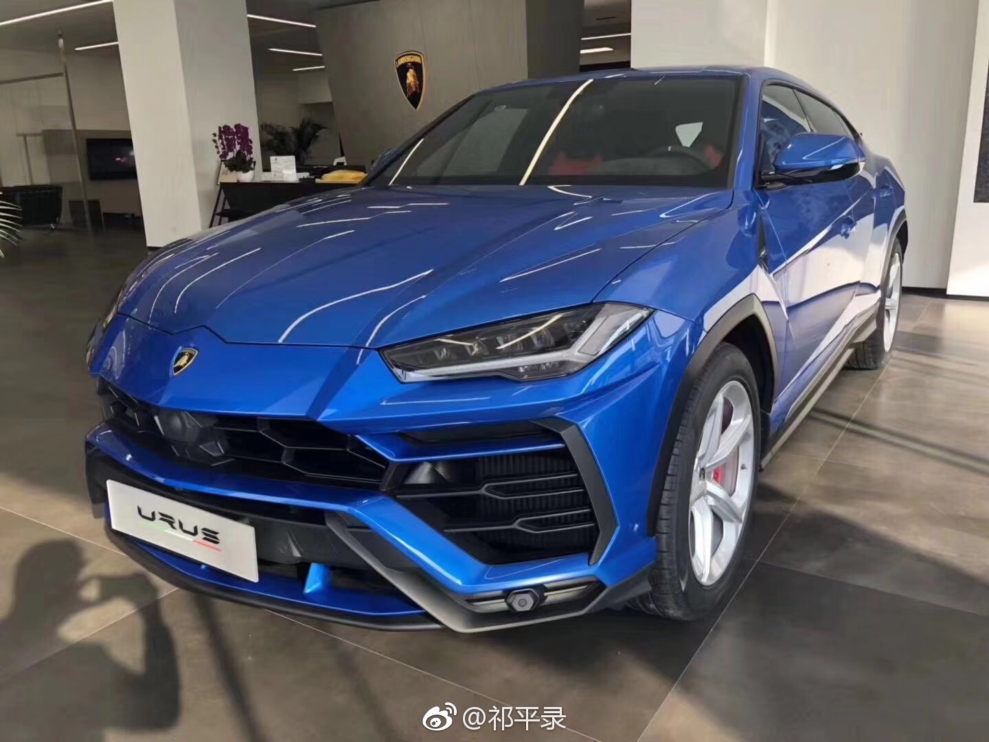 2019款兰博基尼urus 650马力 骚蓝款@兰博基尼上海 @兰博基尼