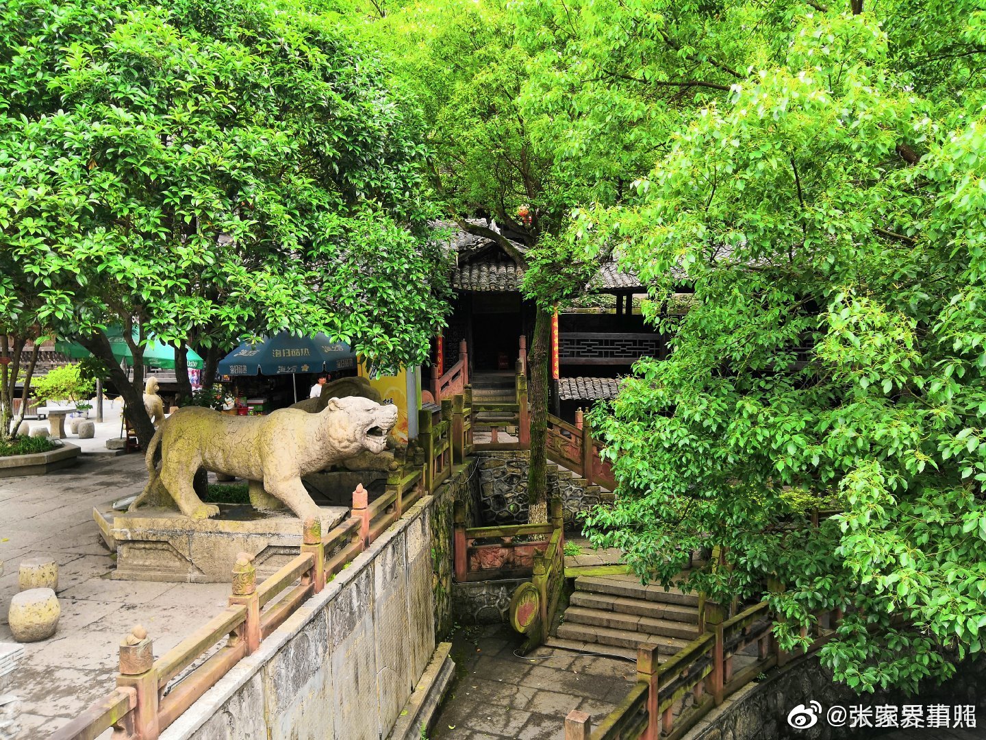 张家界土司城,走进之后仿佛进入了一个园林|园林|土司|张家界_新浪新闻