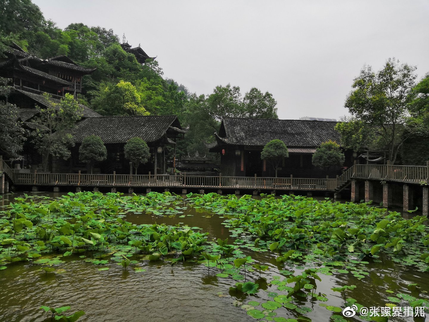 张家界土司城,走进之后仿佛进入了一个园林|园林|土司|张家界_新浪新闻