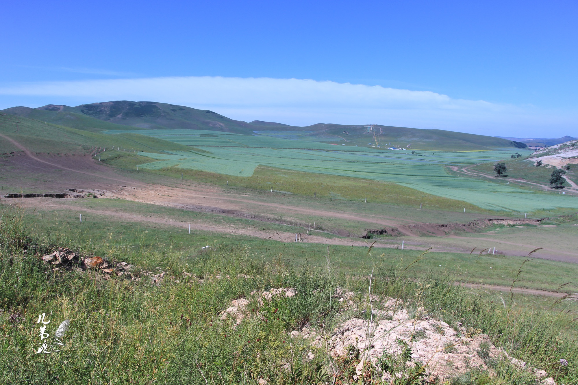 承德大滩草原(二)  2012/7