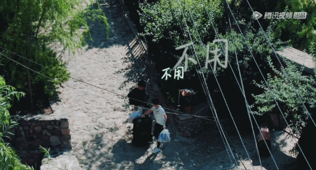 原来郎朗、吉娜有这样一段缘分,难怪秀恩爱现场让人不忍直视