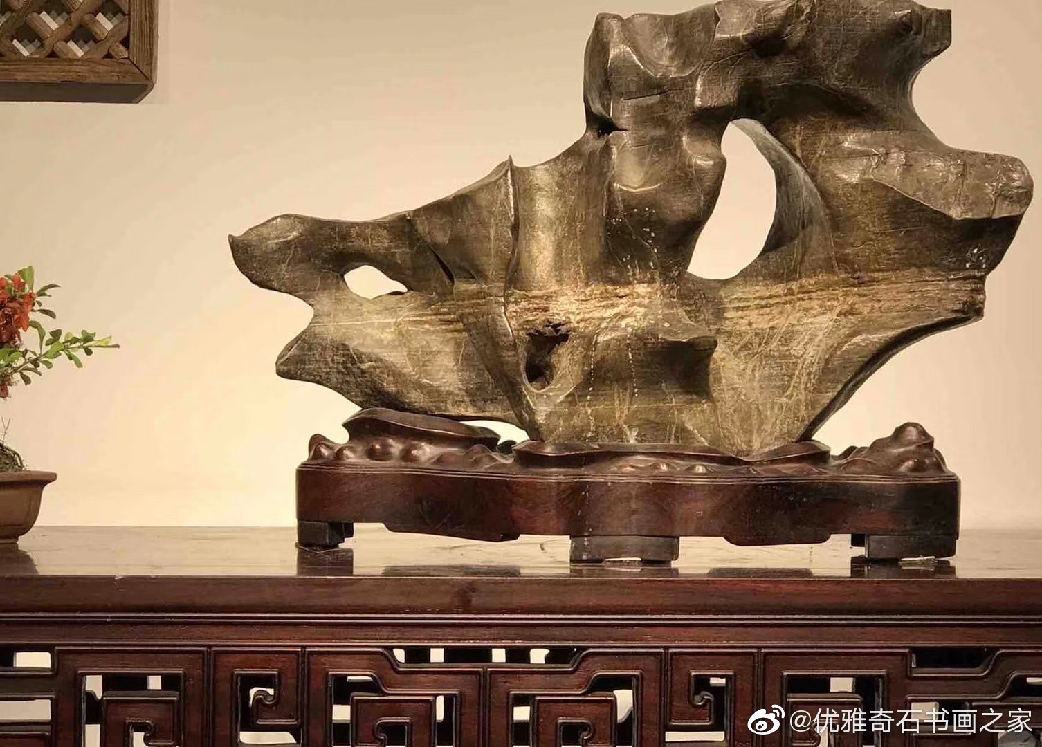 醉玲珑小说剧情简介 醉玲珑小说结局是什么