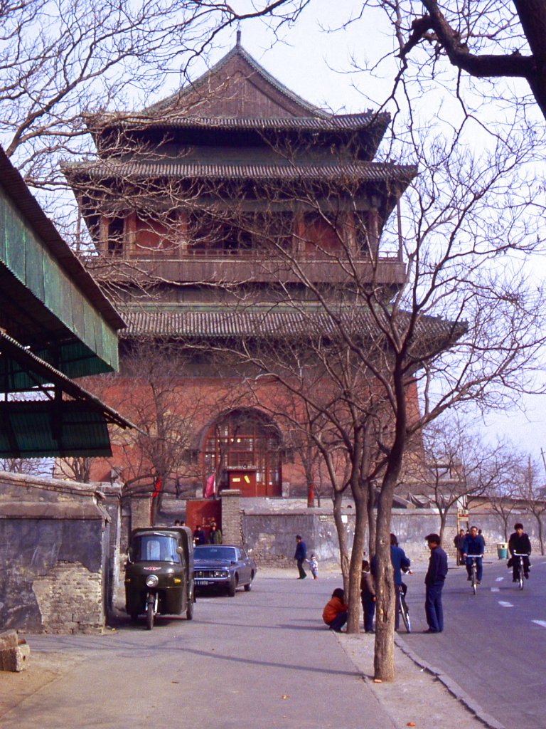 北京旧影1982年老槐树笼罩的房屋街道