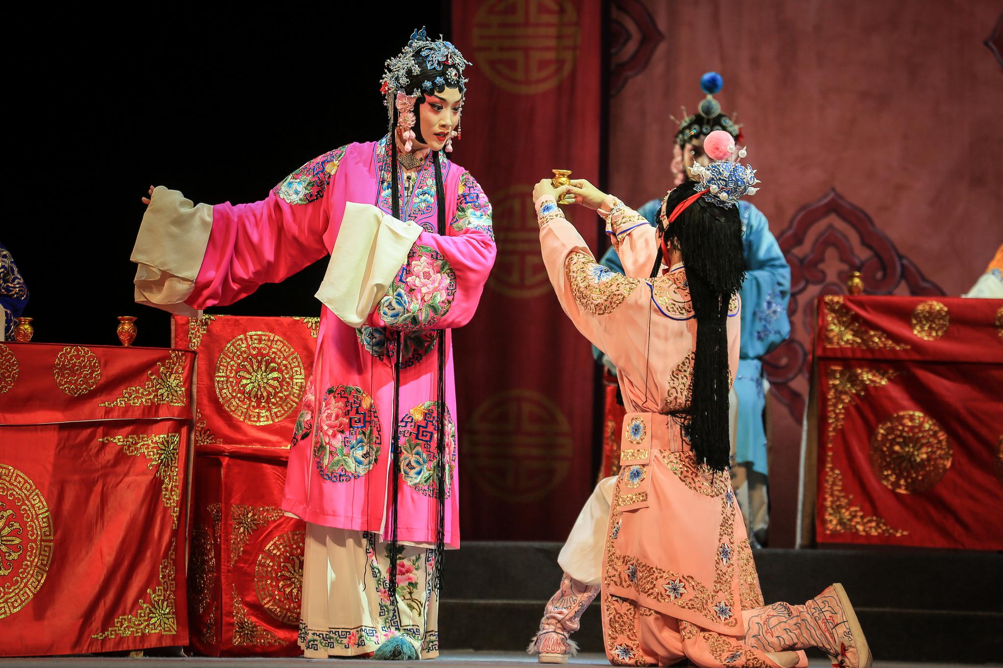 扬剧百岁挂帅八一组杨文广舞台照祝寿灵堂凯旋三折扬剧