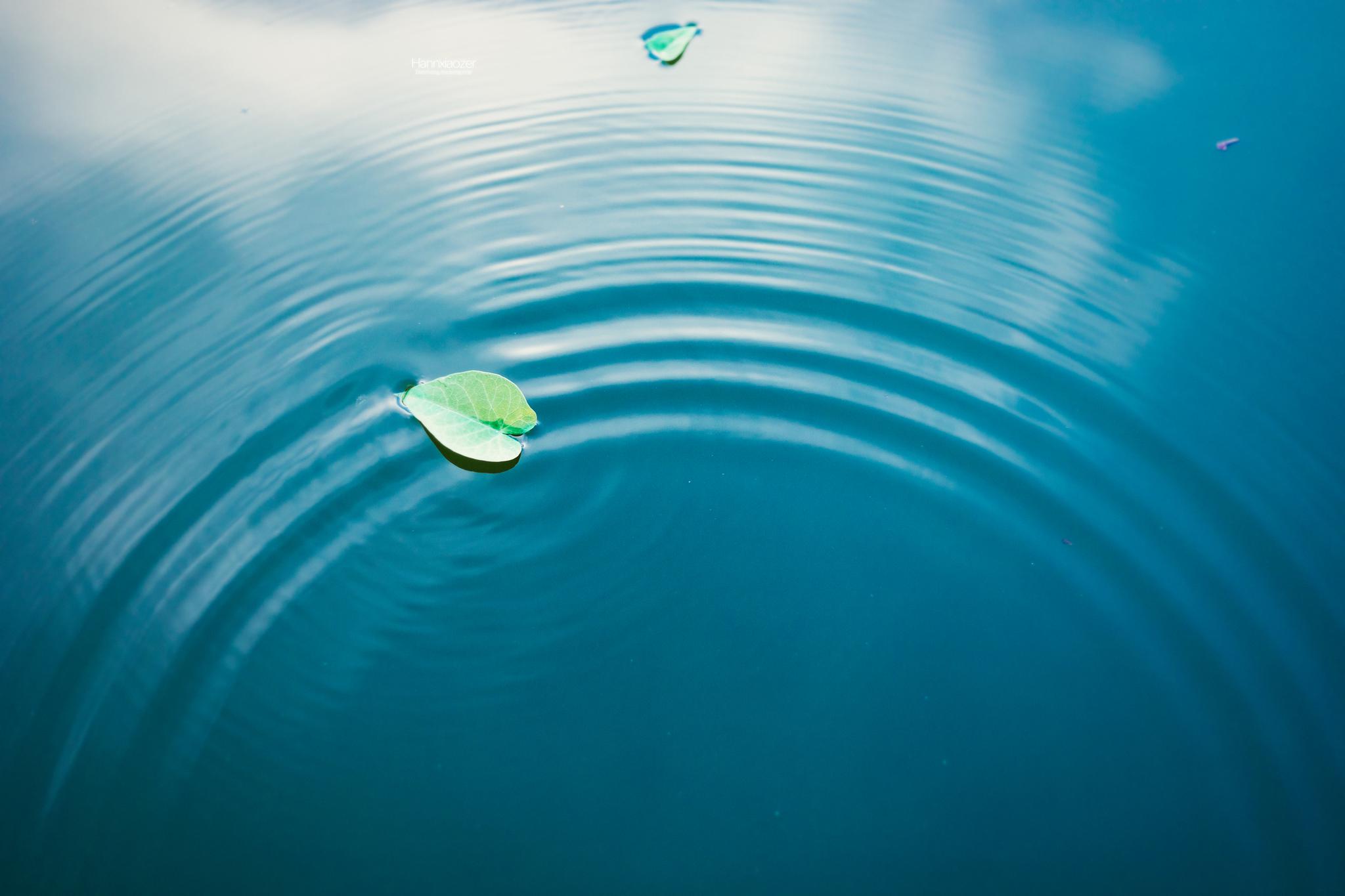 秋天,是一片动与静的禅意.摄影@韩逍子