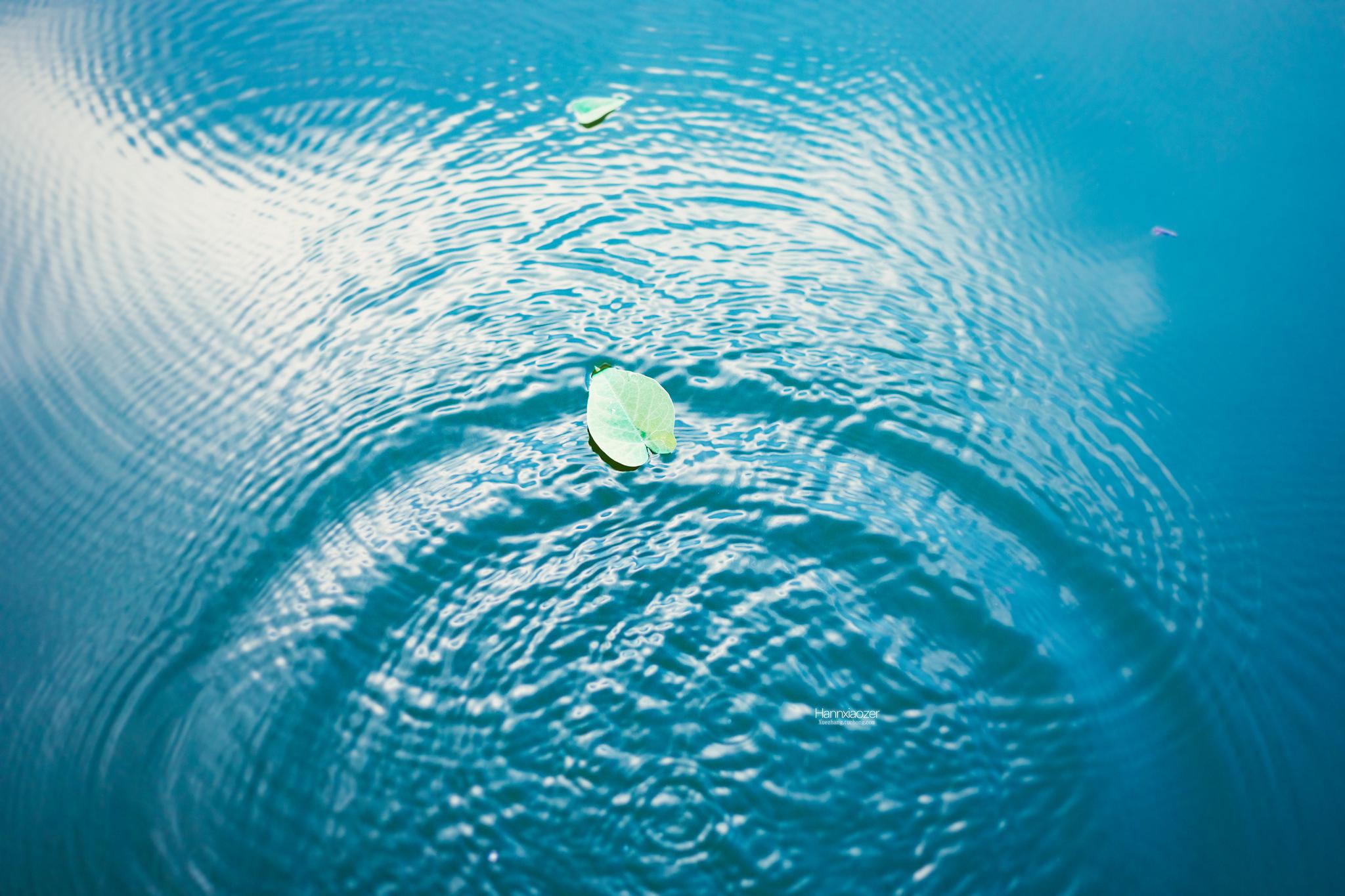 秋天,是一片动与静的禅意.摄影@韩逍子