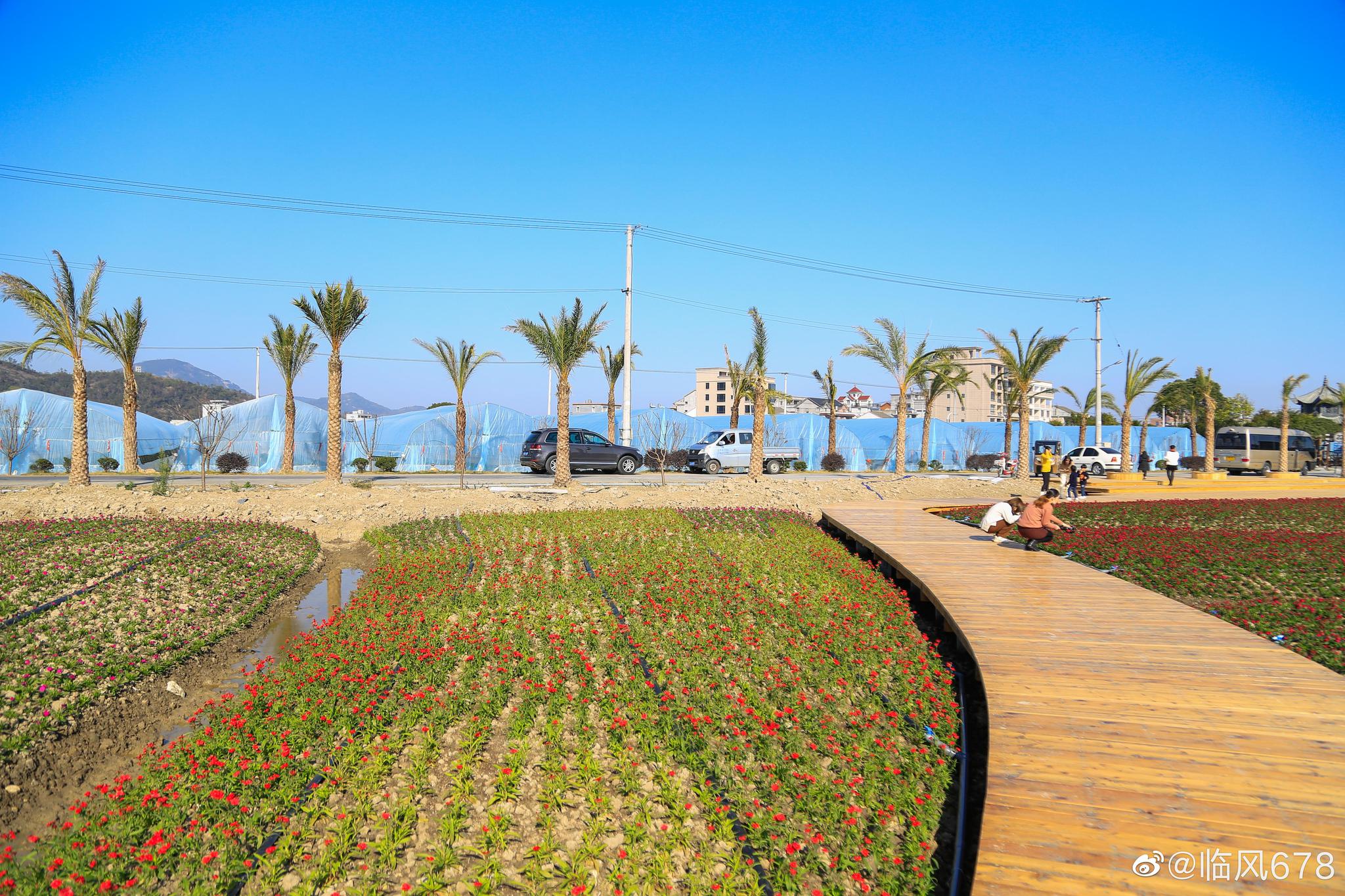 乐清市北塘原来的农业观光园主要以果蔬采摘为主