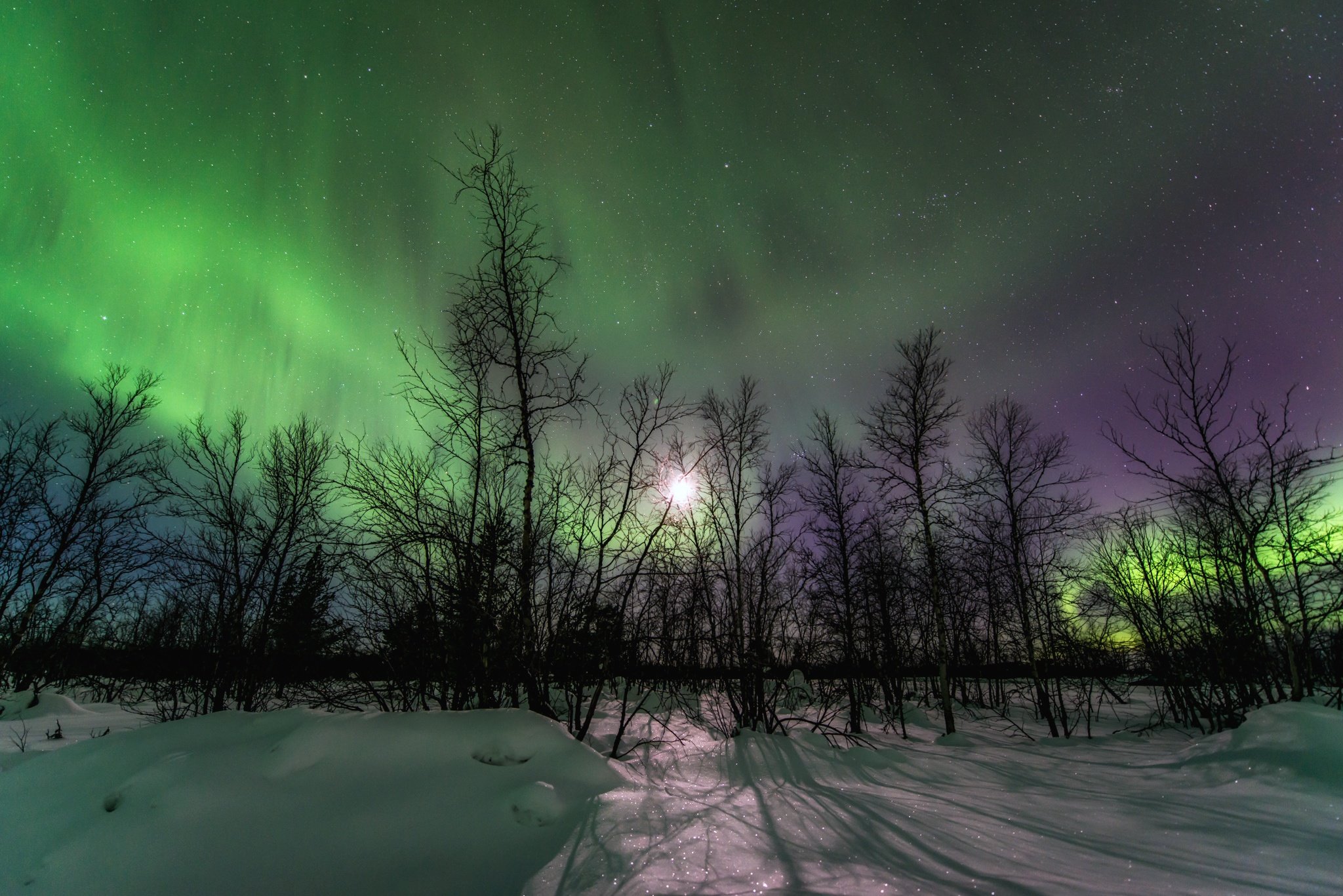 树木与极光,极光与森林angry thelnch