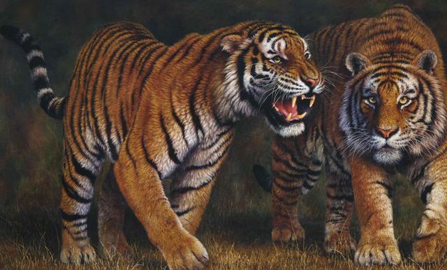 豺狼虎豹为什么豺排在第一位