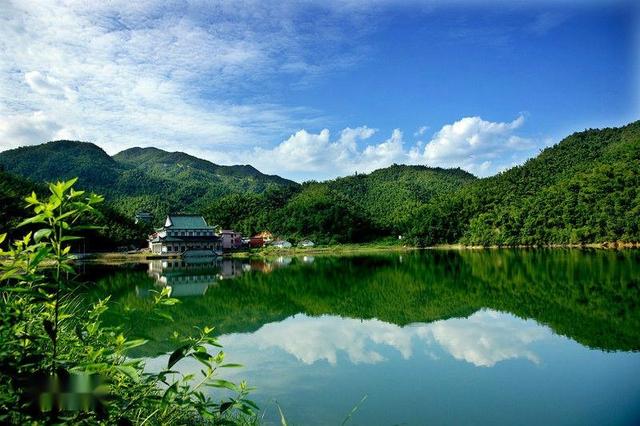 常宁市被誉为油茶之乡杉木楠竹之乡