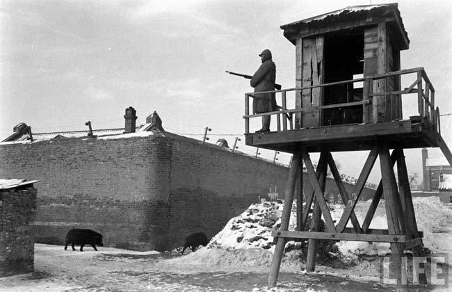 老照片|1948年辽沈战役中的国军