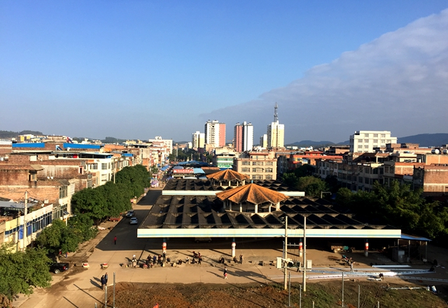 百莲凯·首届中国东门古树茶文化诗歌节在广西扶绥东门镇举办