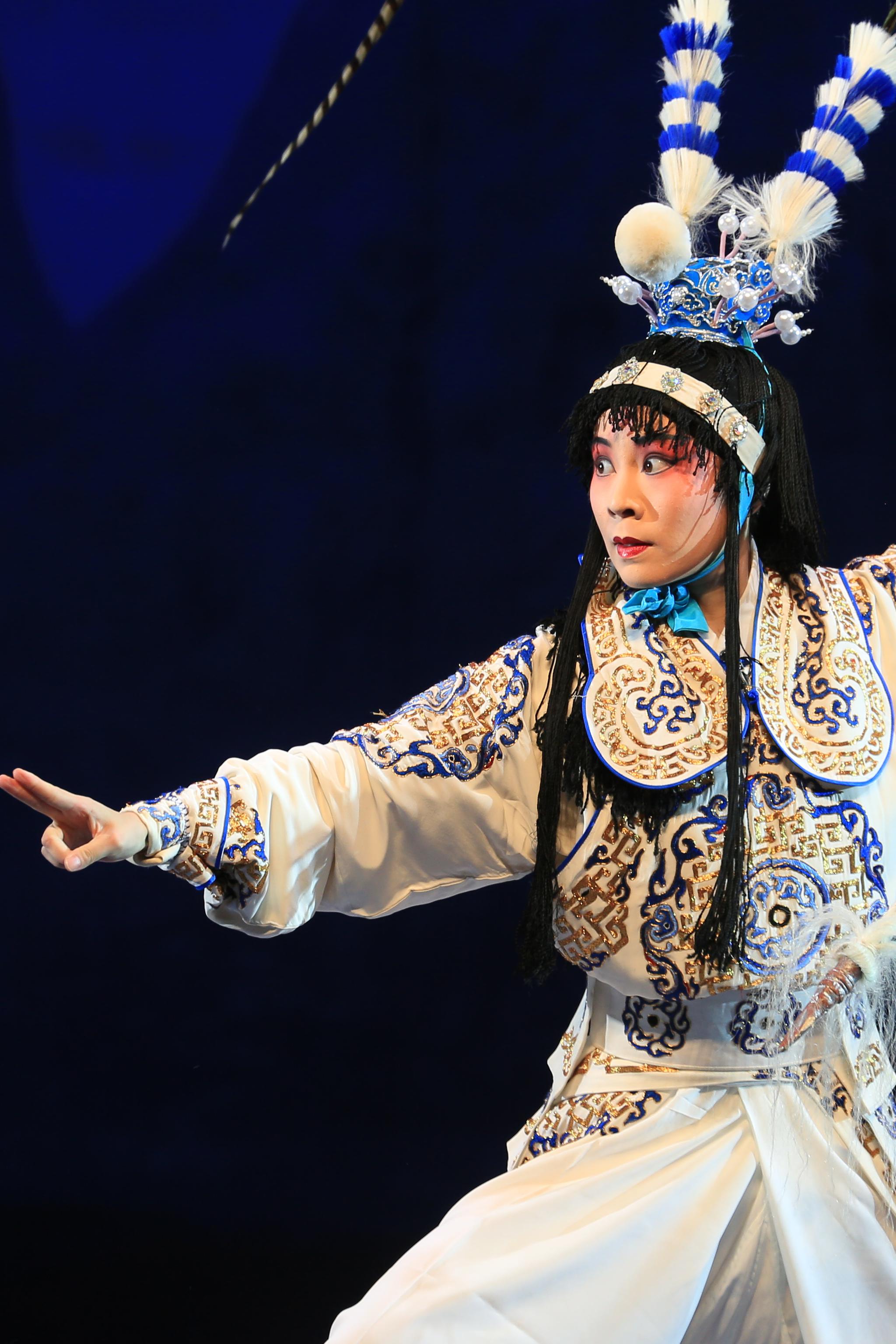 扬剧百岁挂帅八一组杨文广舞台照祝寿灵堂凯旋三折扬剧