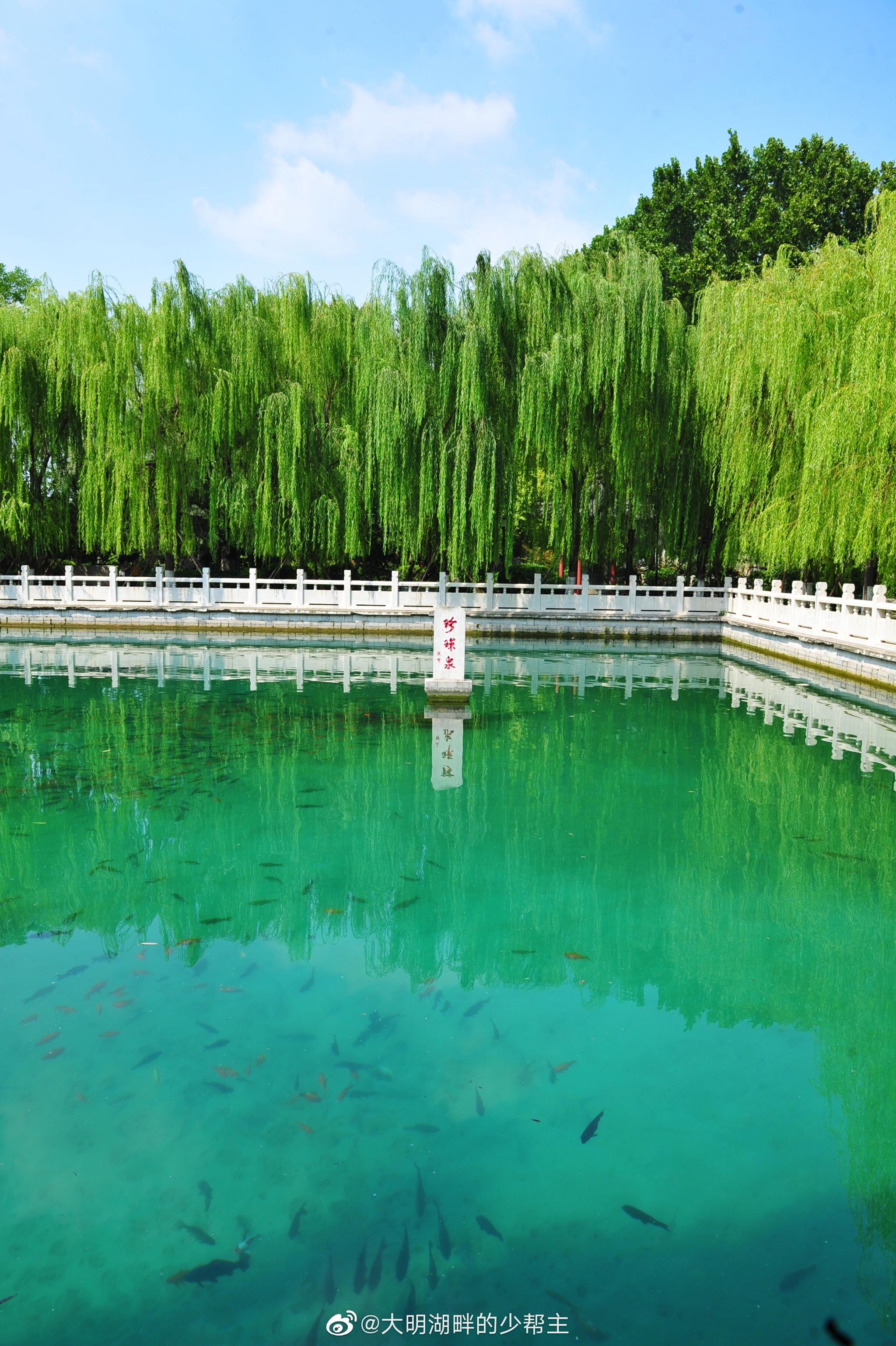 关于珍珠泉,可谓是济南泉水的典范