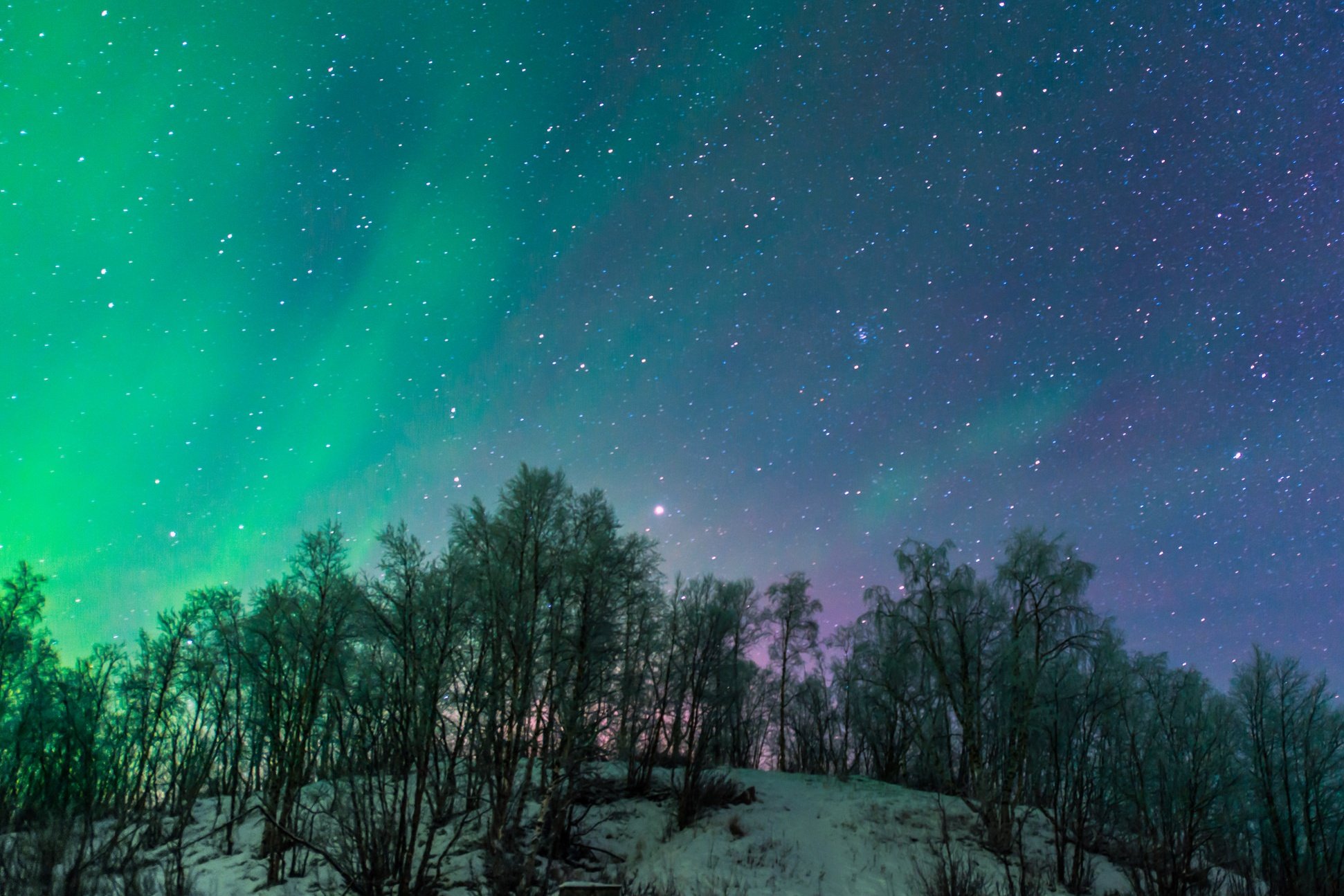 树木与极光,极光与森林angry thelnch