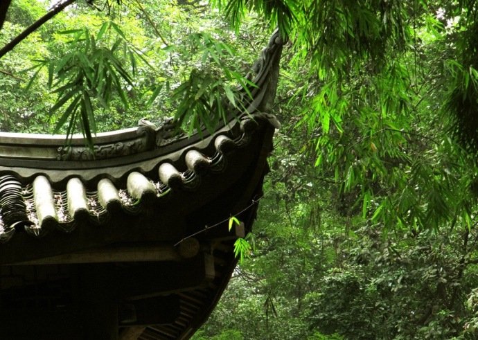 窗竹多好风,檐松有嘉色.-----白居易