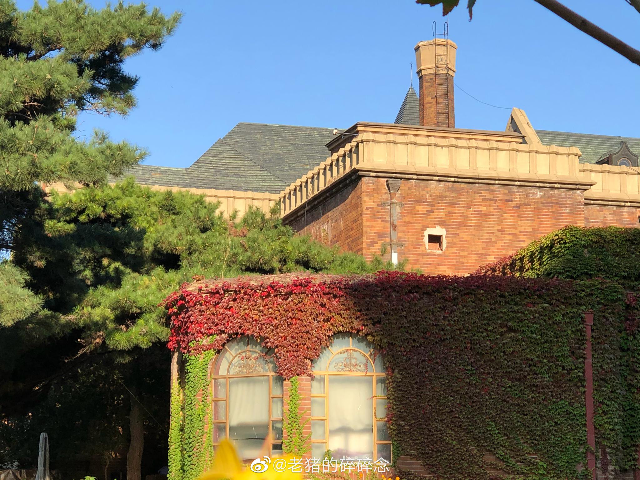 来长春的第一晚,住在了松苑宾馆,一进门便觉得此处异域风情极为浓郁