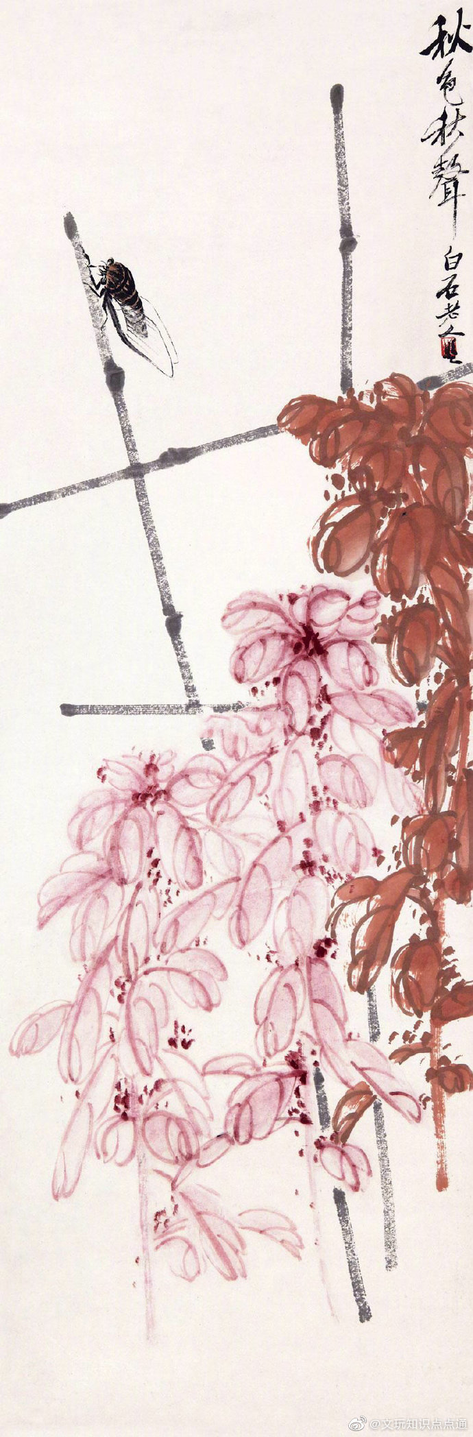 红叶秋蝉 | 齐白石