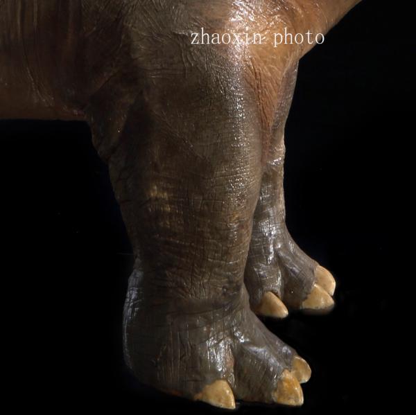 世界第1大嘴汗血河马会水下闭气闭耳神功边拉边甩大便占地盘