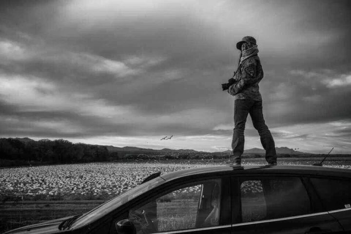 图片故事|她在生命禁区蛰伏3年,冒死拍下绝美画面|顾莹|生命|蛰伏