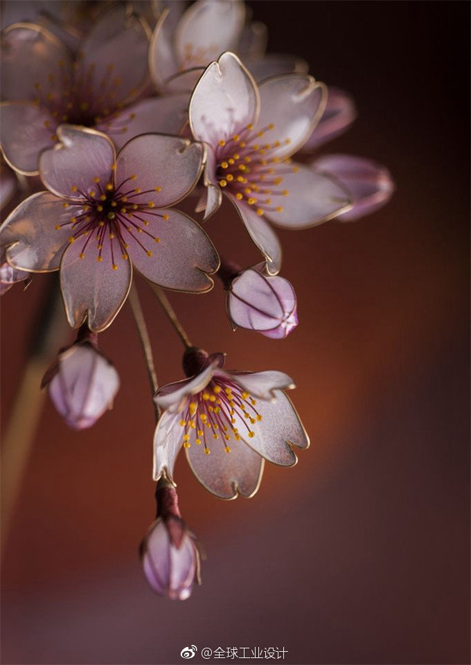 这些图令人春心荡漾,日本原来还有这个职业…