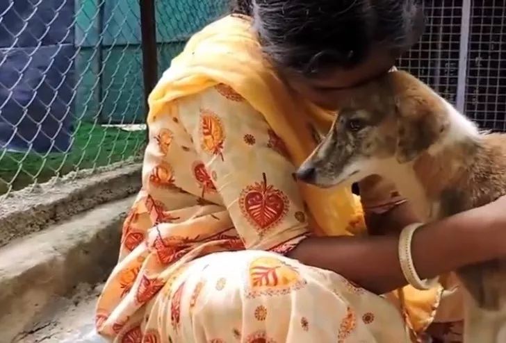 男子路过小水沟时听见惨叫声,掀开后看到的画面让他急眼了!