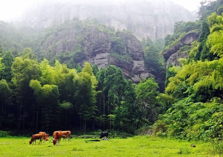 农民一次交九万养老还有这样的政策吗,怎么交?