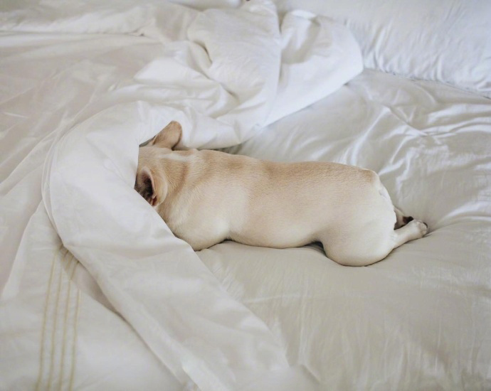 节假日,只想赖在被窝里的我