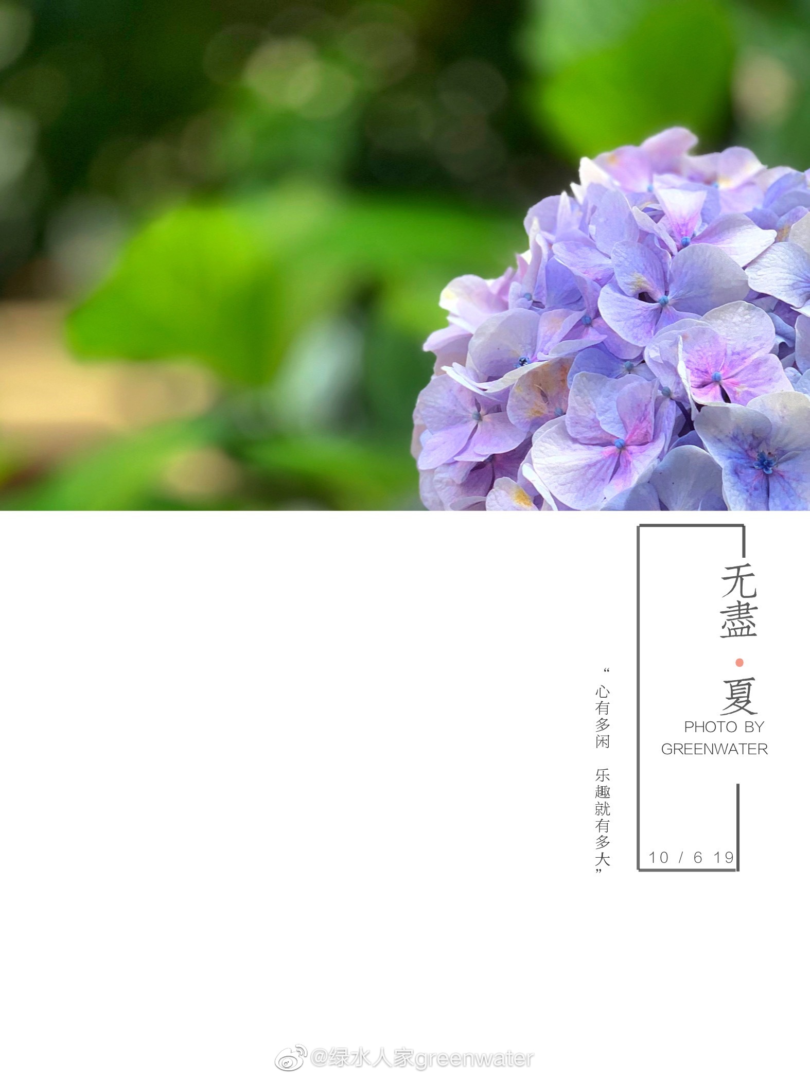 连雨不知春去,一晴方觉夏深.@手机摄影