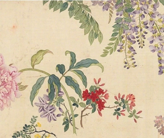 《百花图卷》 —— 邹一桂