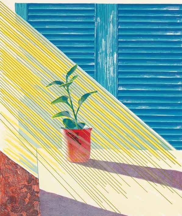 75无尽夏davidhockney