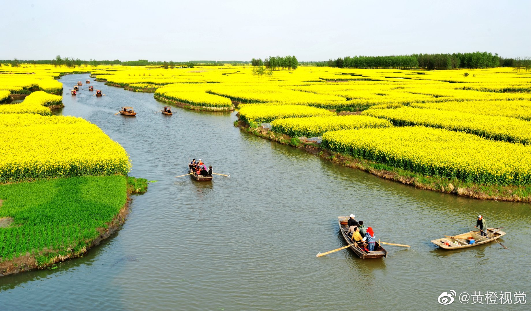 2012年的春天——拍摄地:江苏兴化