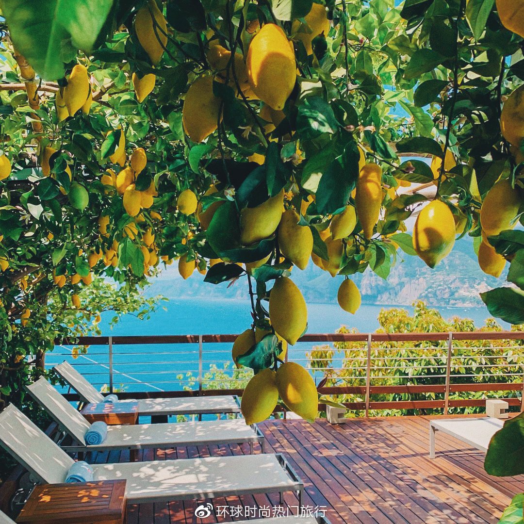 意大利Amalfi Coast阿马尔菲海岸的柠檬树|柠檬树|阿马尔菲|海岸_新浪新闻