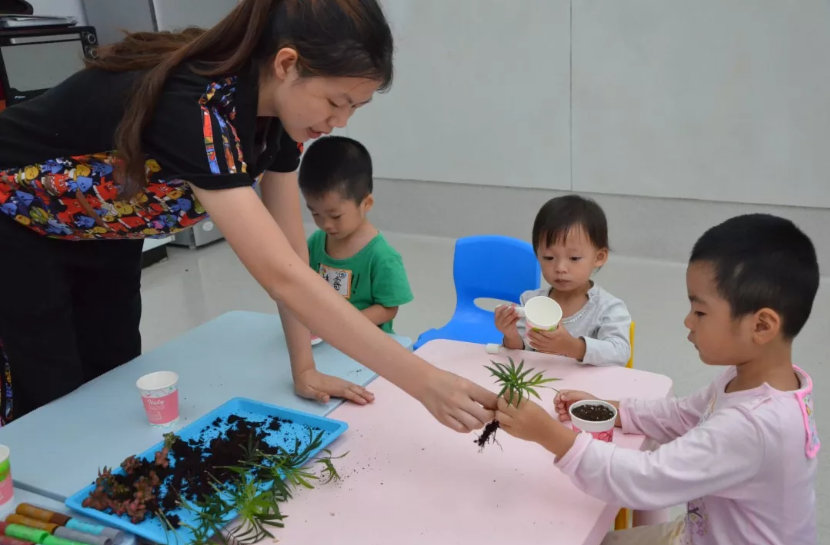 春暖花开、夏树苍翠、秋实累累、冬雪纷飞。春夏秋冬的变换|大自然_新浪新闻