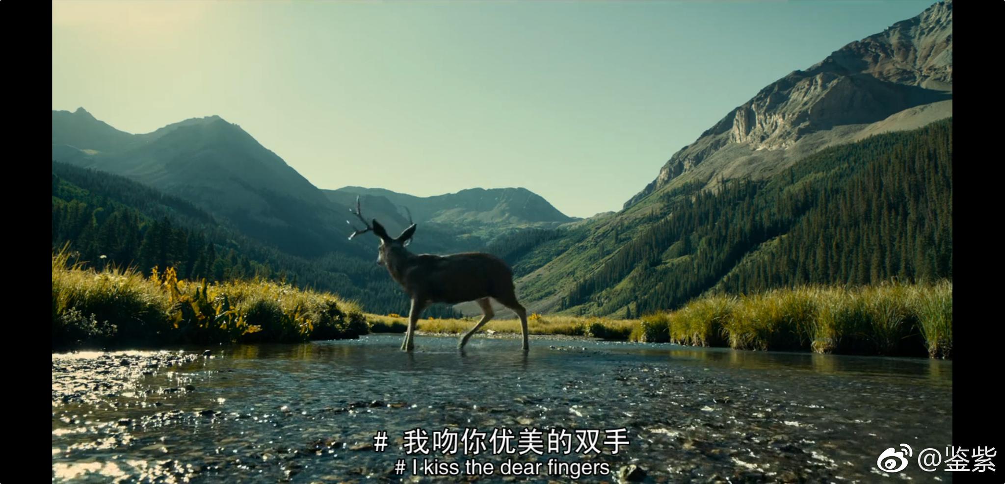 一部地电影的画面!美,不胜收!