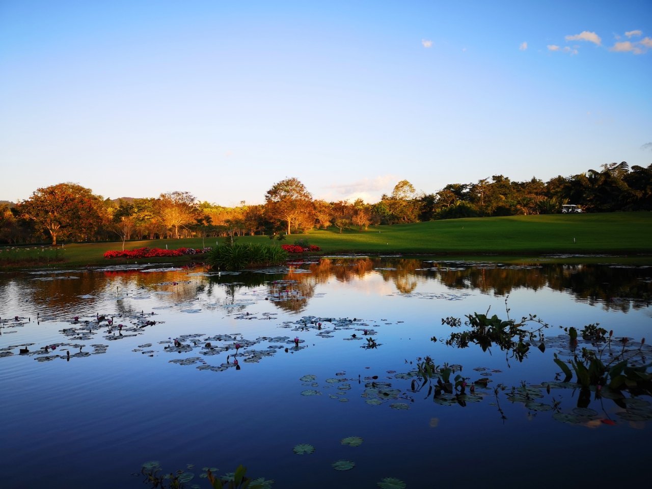 蓝天绿树白云,看起来一派祥和美好